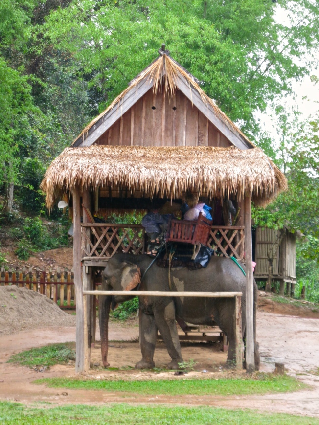 Loading station at the Elephant Village