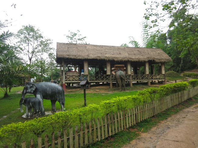 The Elephant Village, with the elephant feeding station 