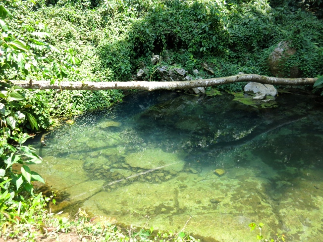Spring, the source of the Kuang Si Waterfall