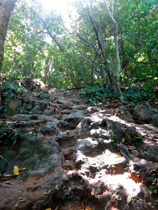 Path down to the Kuang Si Falls