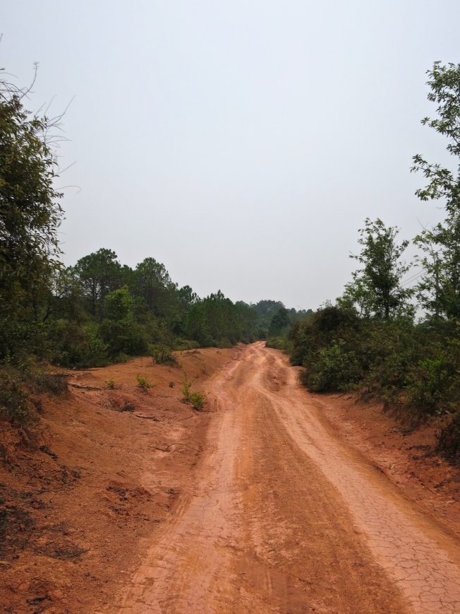 Dirt road leading to Jar Site 2
