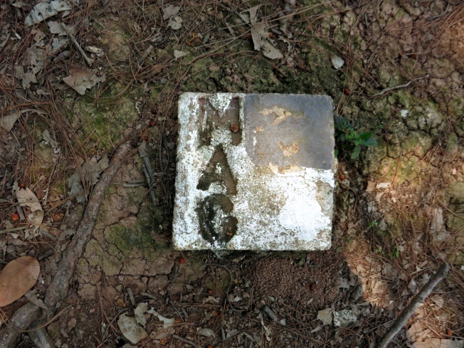White marker on the path.  MAG  stands for Mines Advisory Group, which is a non-profit that clears mines and UXOs worldwide 