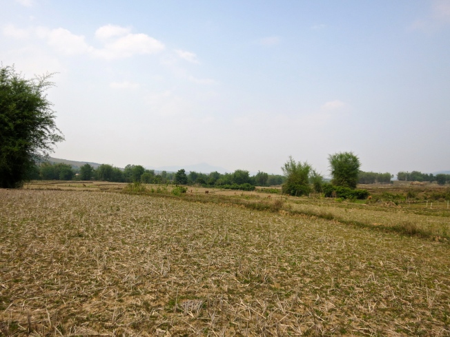 Rice paddies to Jar Site 3