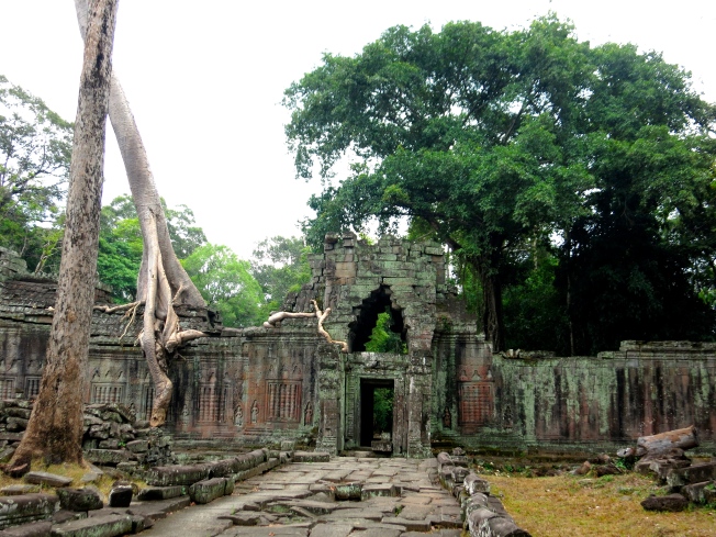 Trees and vegetation growing around the ruins